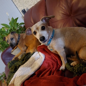 Fundraising Page: James Hurst